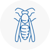 Settle Wasp Nest Removal